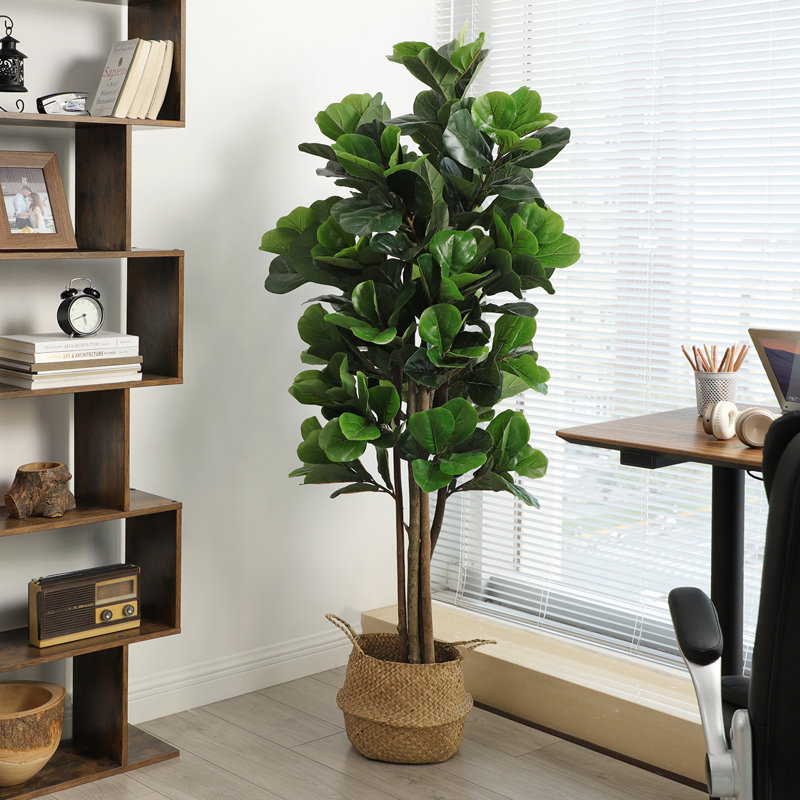 Primrue Artificial Fiddle Leaf Fig Tree, 71-Inch Tall Potted Silk Tree, Faux Ficus Lyrata 