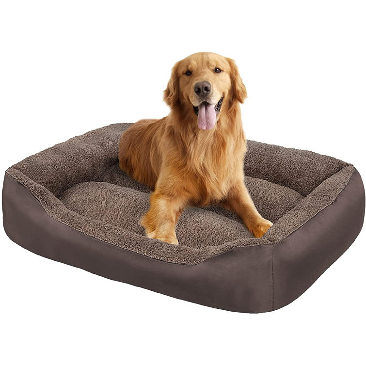 wayfair large dog beds