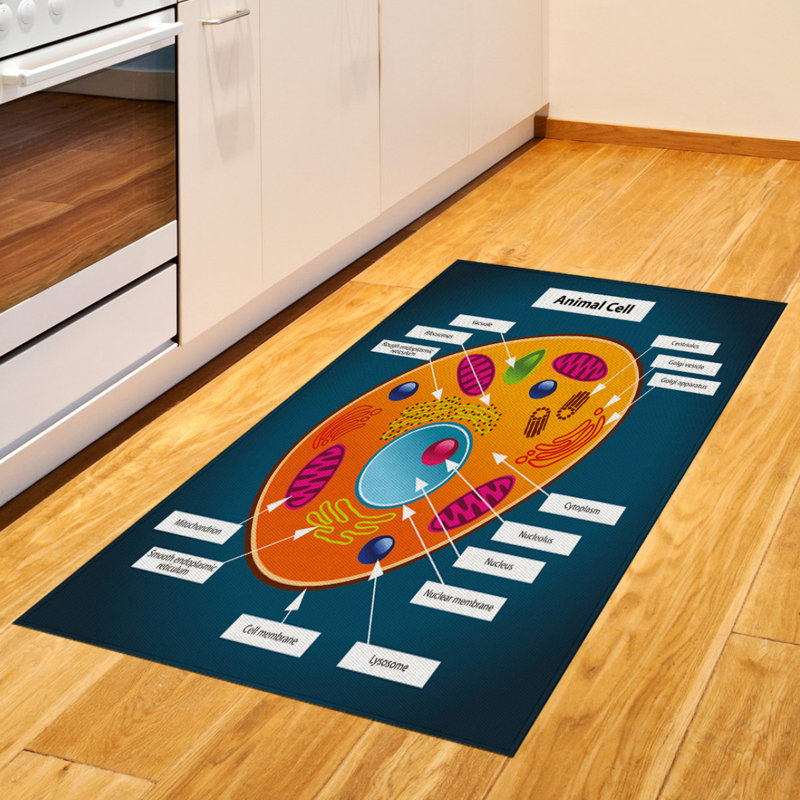 East Urban Home Science Flatweave Blue Area Rug Wayfair East Urban Home Science Flatweave Blue Area Rug Wayfair