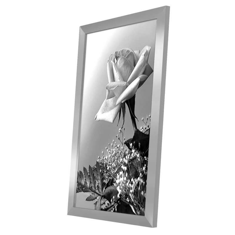 Signature Poster Frame Composite Wood and Plexiglass Cover Hanging Hardware included
