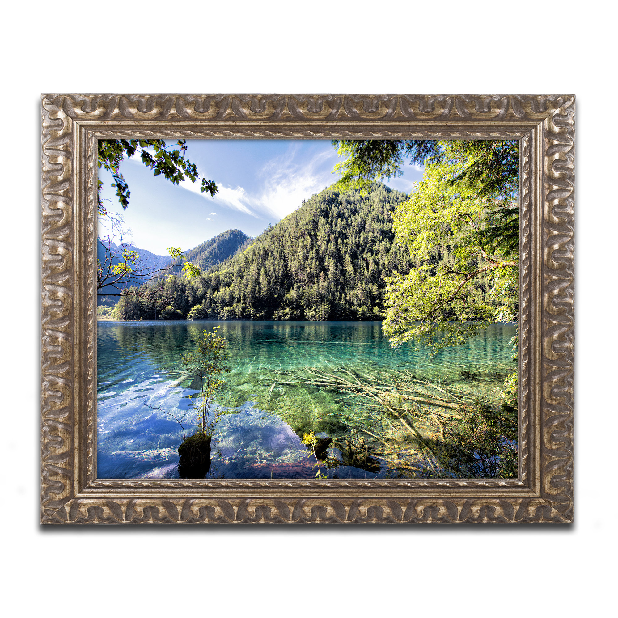 Trademark Art Tiger Lake By Philippe Hugonnard Framed Photographic Print Wayfair