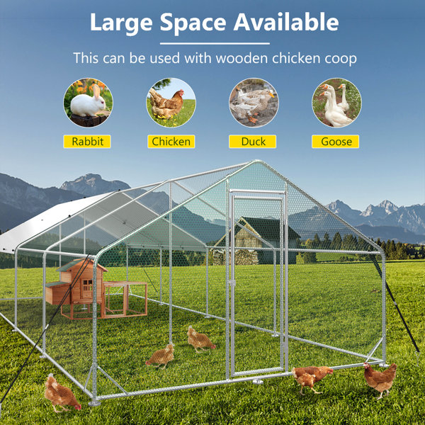 Tucker Murphy Pet™ Danay 251.23 Square Feet Chicken Run | Wayfair