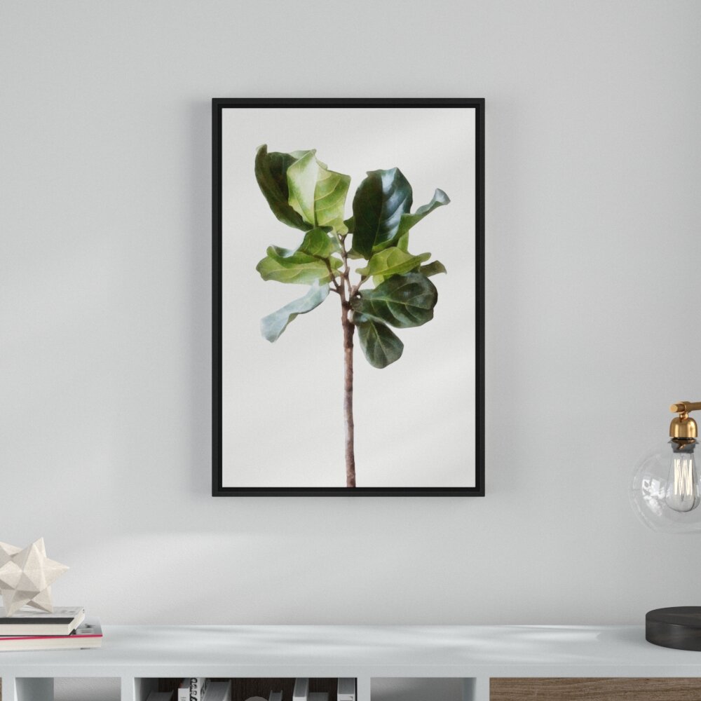 Wrought Studio Mangolia Tree Sapling - Picture Frame Graphic Art on ...