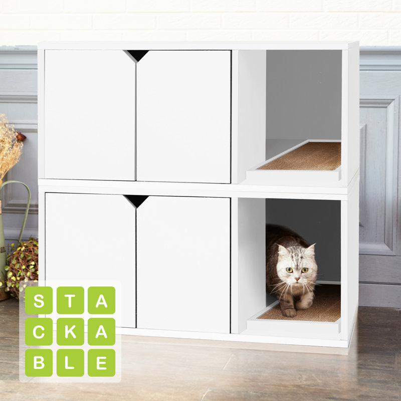 cat runs out of litter box