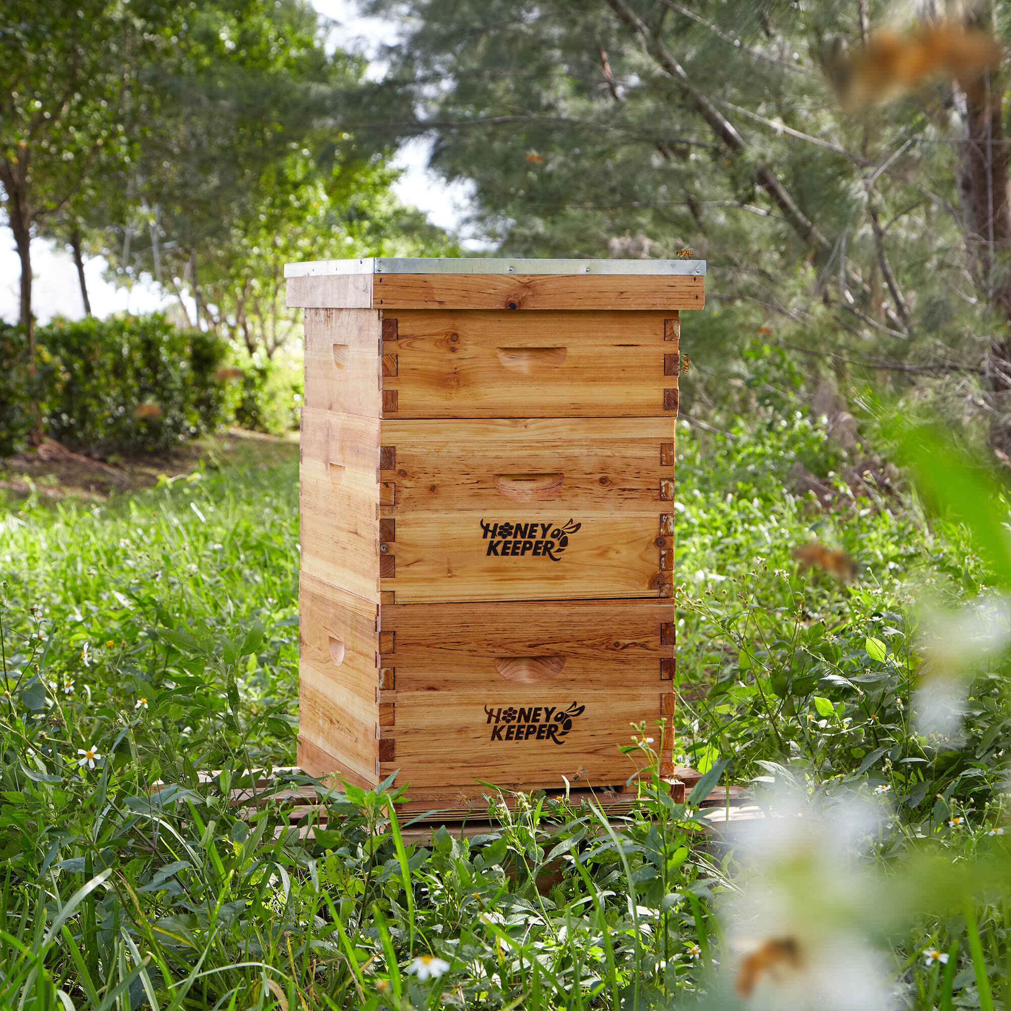 10 X Beekeeping Honey Entrance Entry Feeder Beekeeper Bee Keeping Hive Tool Set 