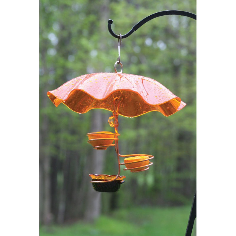 Birds Choice Single Cup Double Fruit Oriole Tray Bird Feeder Wayfair