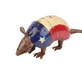 Metal Armadillo Wayfair