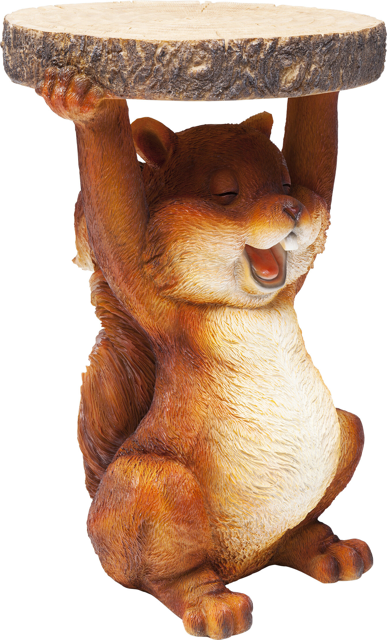 squirrel play wooden tabletop kitchen