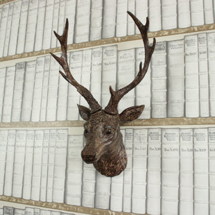 Wall Mounted Stags Head Wayfair Co Uk