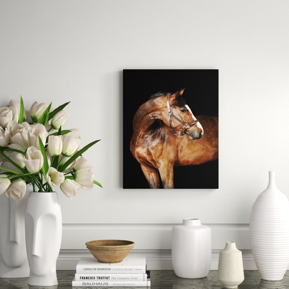 DecorumBY Tan Horse Frontal - Unframed Photograph | Wayfair