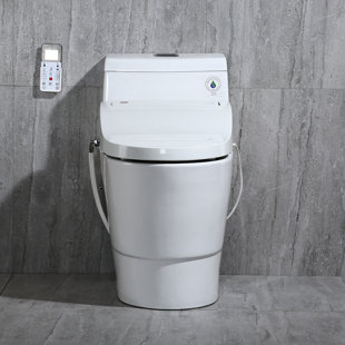 Go to store & view more images WoodBridge Dual-Flush Elongated One-Piece Toilet With Bidet Seat