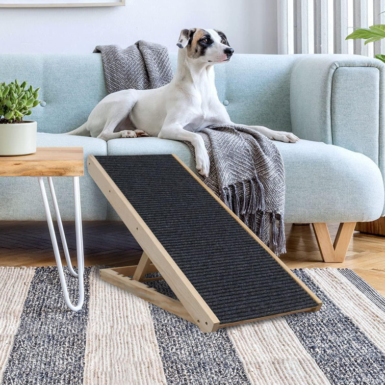 paw ramp for dogs