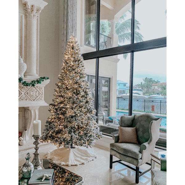 White Flocked Coral Tree Wayfair