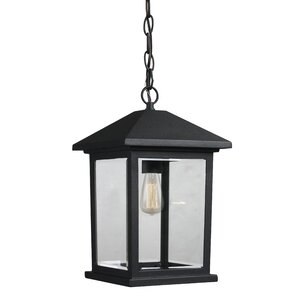 Leroy Contemporary 1-Light Outdoor Hanging Lantern