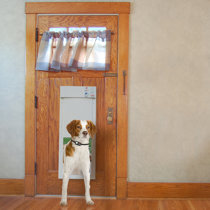 electronic dog door canada