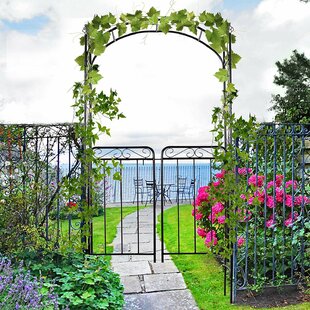 Rupert Garden Arch By Marlow Home Co.