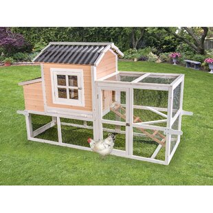 Neatapet Rabbit Hutch Chicken Coop Guinea Pig Cage Ferret Planter Box Large