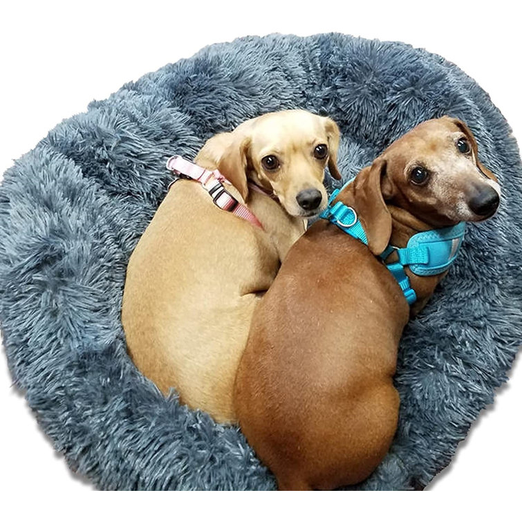 fluffy calming dog bed