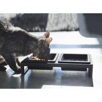 miller chow hound dog feeder