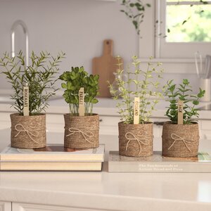 4 Piece Desk Top Foliage Plant Set (Set of 4)