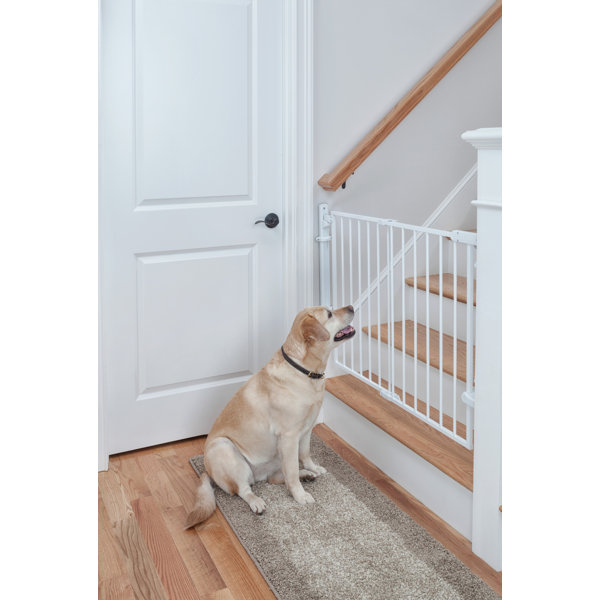 top paw extra tall walk through pet gate