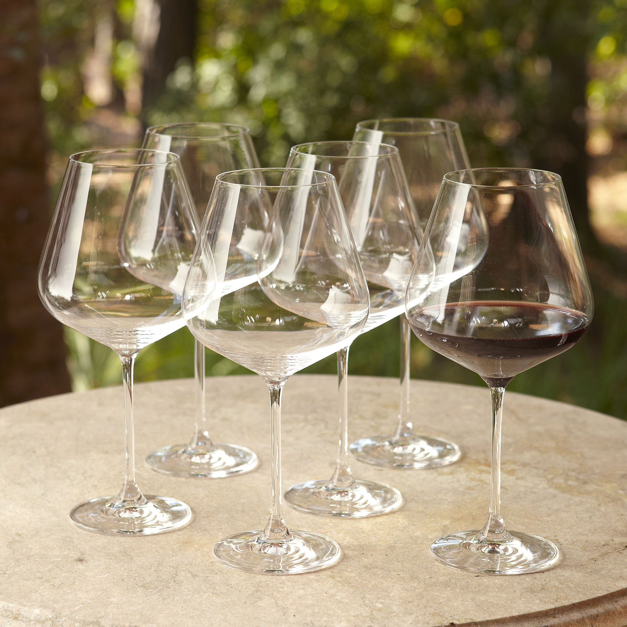 fancy wine goblets