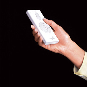 Hand Held Remote Control System with Wall Holster