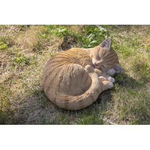 Tea Cup Orange Grey Kitten Cat Life Like Figurine Statue Home/Garden NEW 