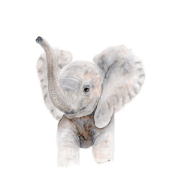 Zoomie Kids Meeks Baby Elephant Trumpet Paper Print Reviews Wayfair