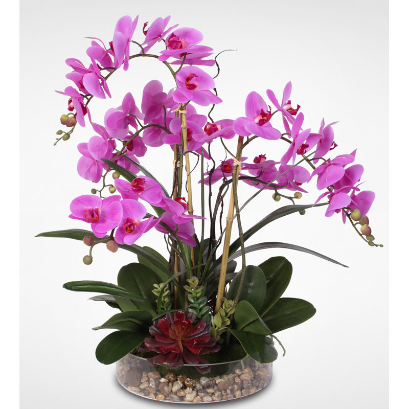 Jennysilks Real Touch Phalaenopsis Orchid Centerpiece In Glass Pot Wayfair Ca