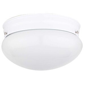 2-Light Flush Mount