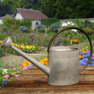 Galvanized Metal Watering Can Wayfair