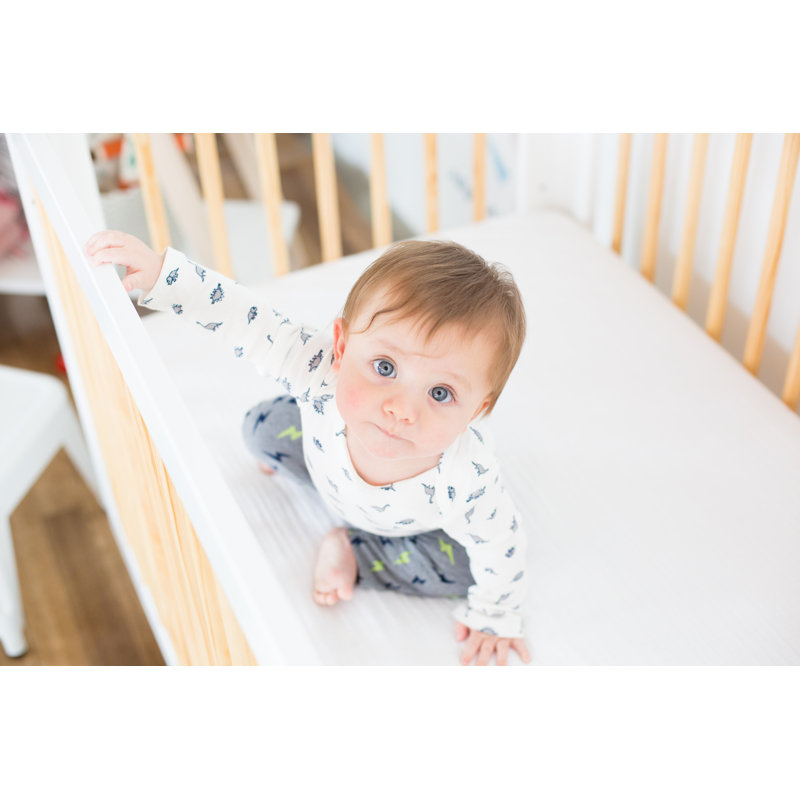 Babyletto Pure Core 2 Stage Waterproof Standard Crib Mattress