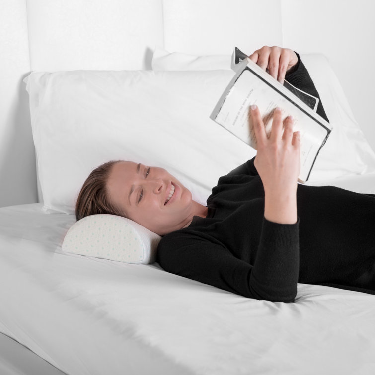 biopedic memory foam pillow