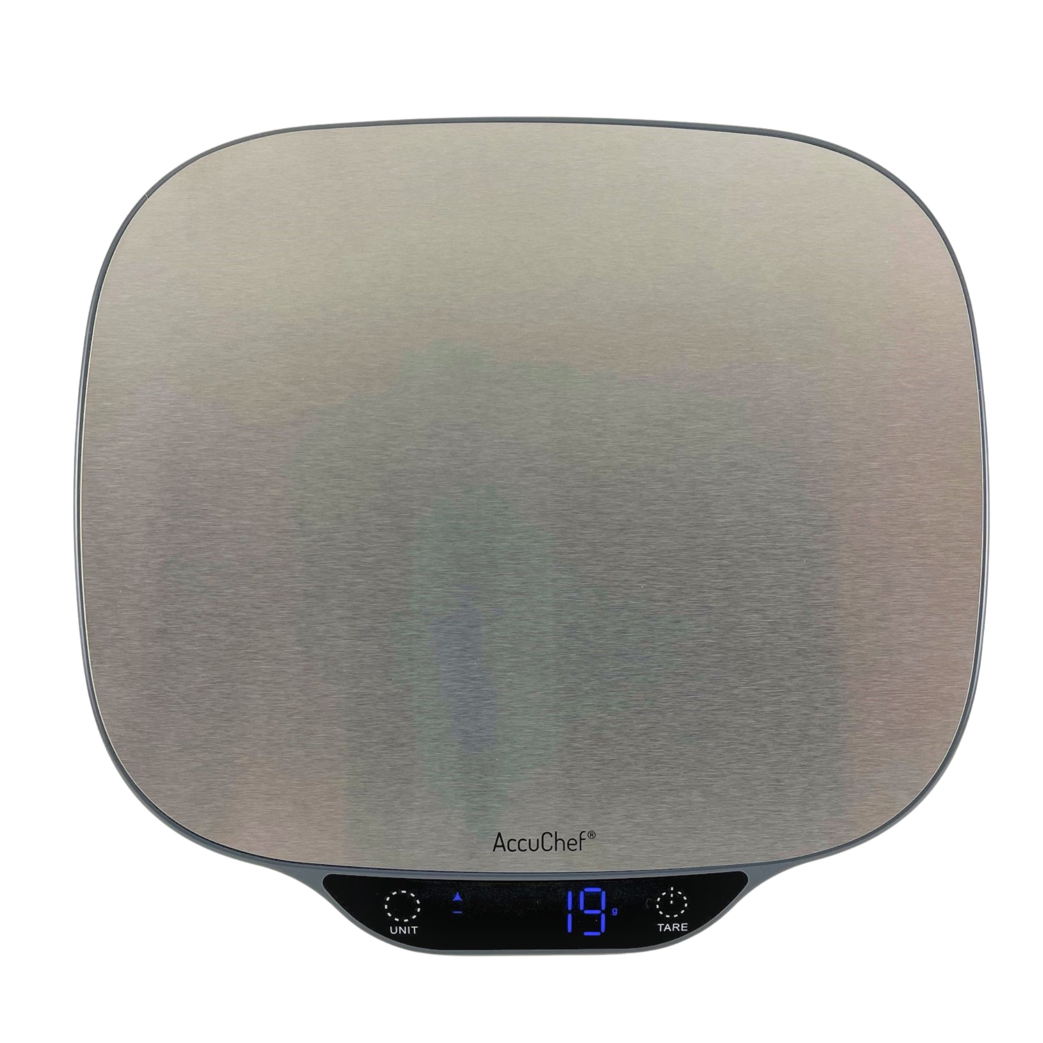 Accuchef Digital Wide Platform Stainless Steel Kitchen Scale Wayfair