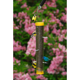 Droll Yankees New Generation Seed Tube Bird Feeder Reviews