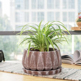Brown Concrete Planters You Ll Love In 2021 Wayfair