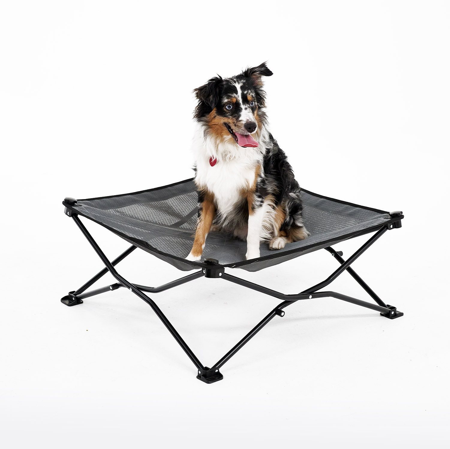 coolaroo pet bed canopy
