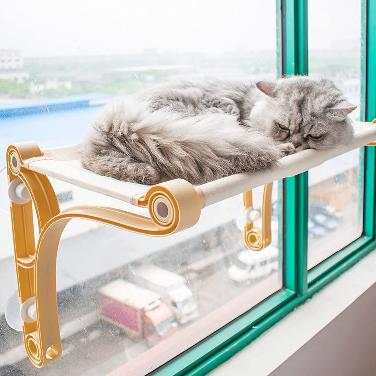 cat window hammock
