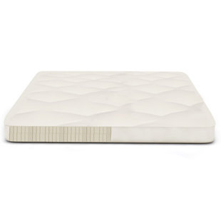 Go to store & view more images Alwyn Home Ella Natural Latex 2