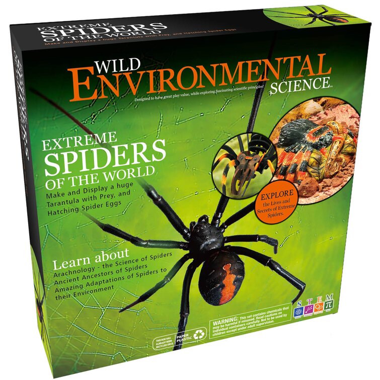 Plastic SPIDER arachnid life cycle 4 stages educational learning resource toy 