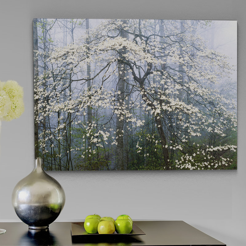 Charlton Home Jones Dogwood Canopy Graphic Art Print On