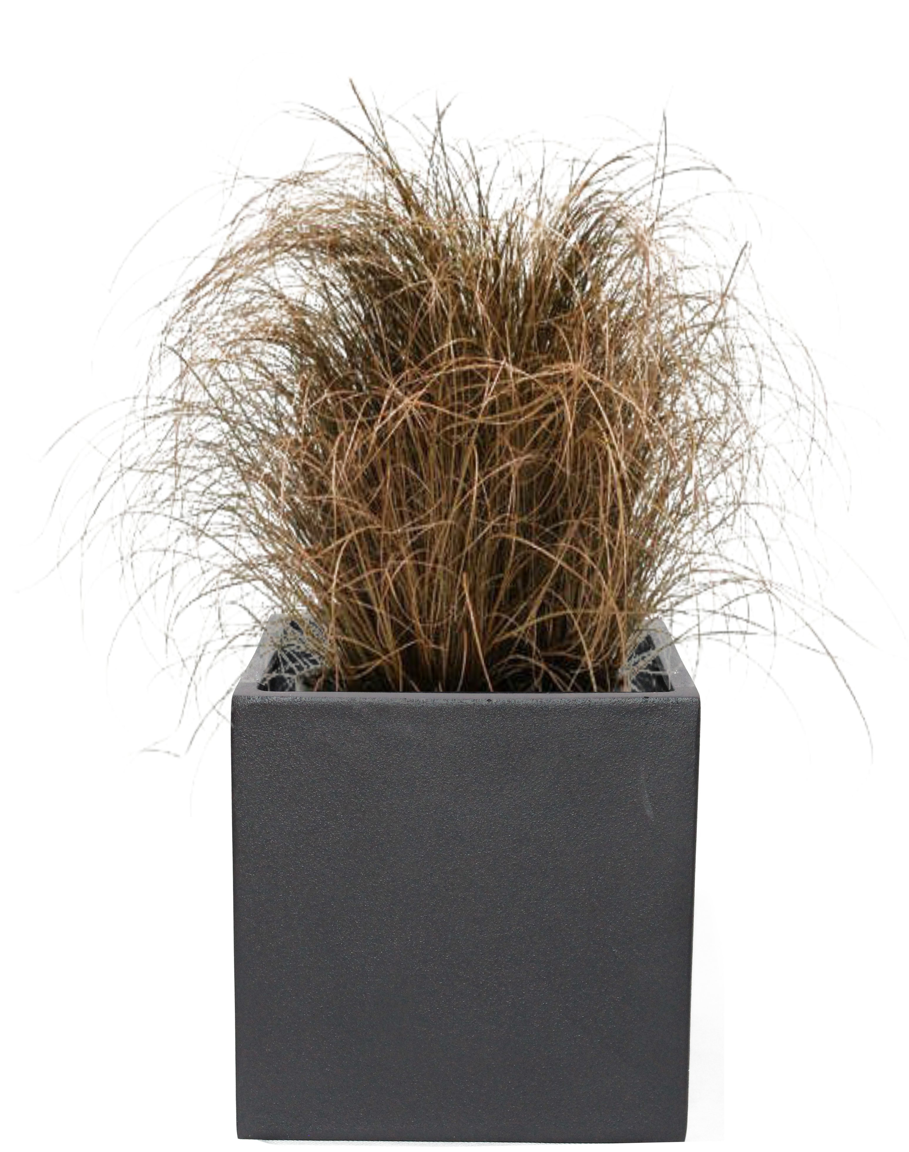 wayfair balcony planters on 17 Stories Rosana Fiberglass Planter Box Wayfair