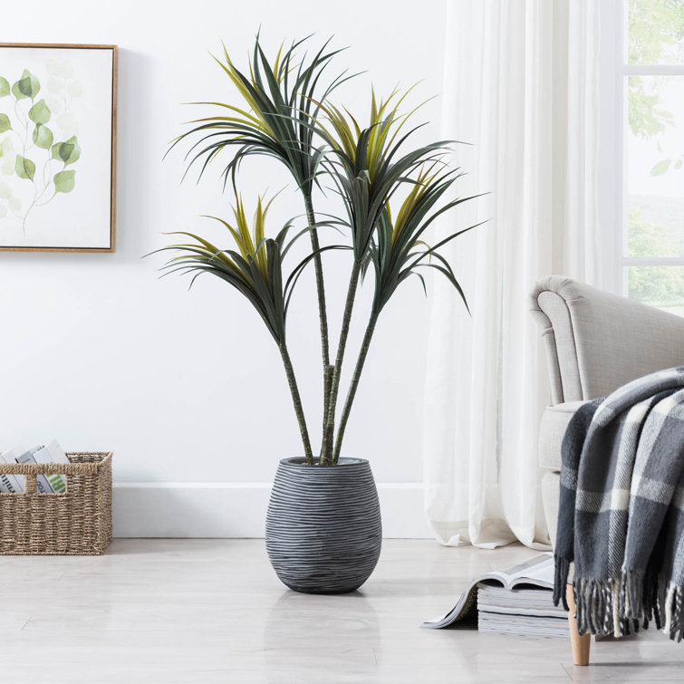 Primrue 34.75'' Artificial Yucca Tree in Pot & Reviews Wayfair.ca