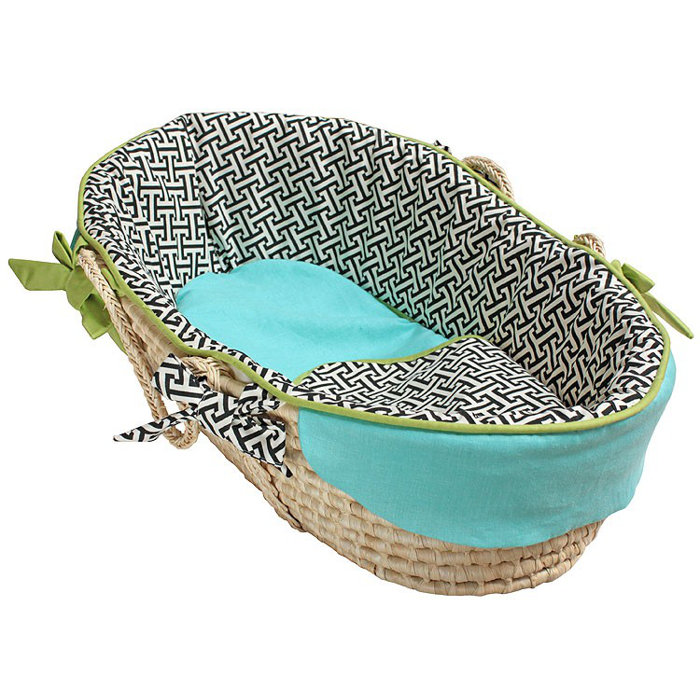 wayfair moses basket with stand