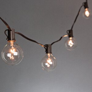 10-Light 9 ft. Globe String Lights