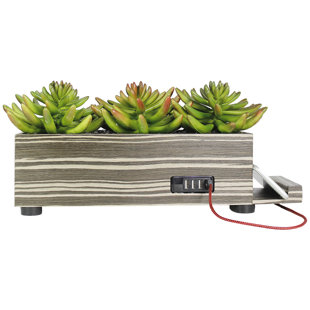 Decorative Charging Station Wayfair