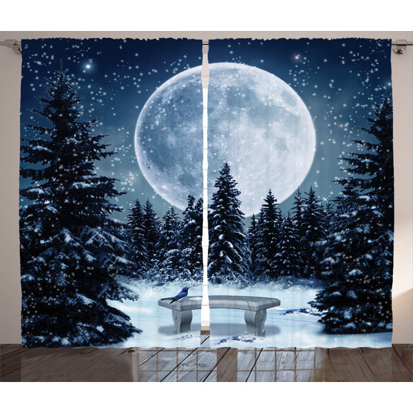 Outdoor Winter Decorations Wayfair