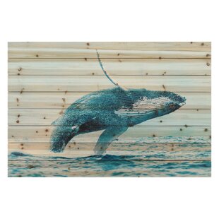 Whale Wall Art You Ll Love In 2020 Wayfair