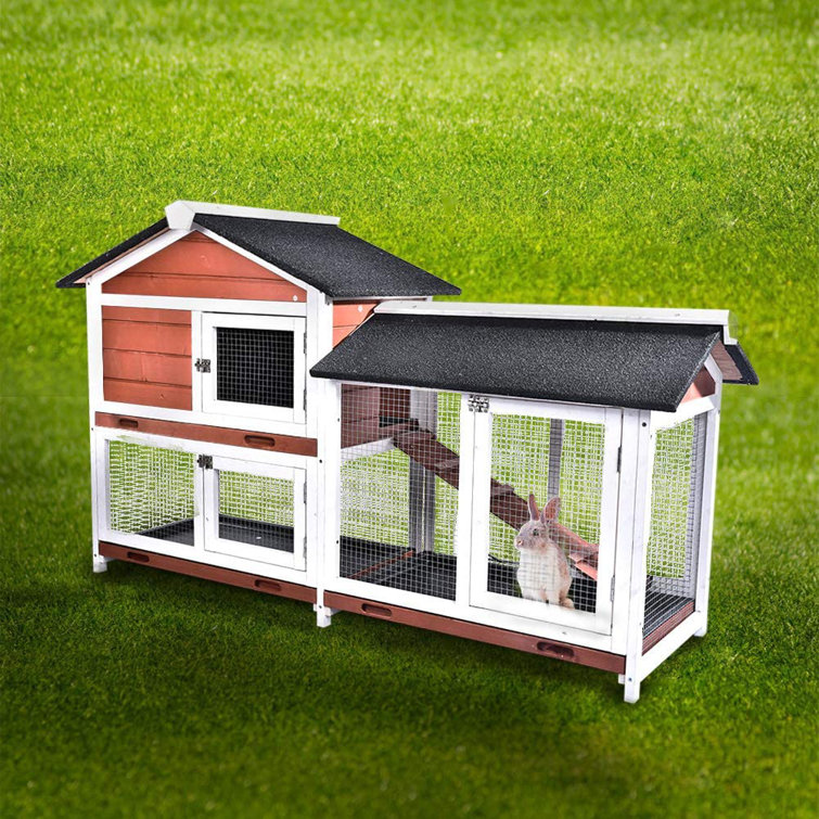pet hutch